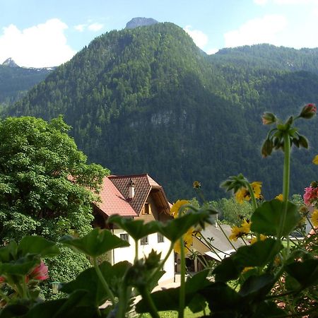 Haus Alpenrose Hotel Obertraun Eksteriør billede