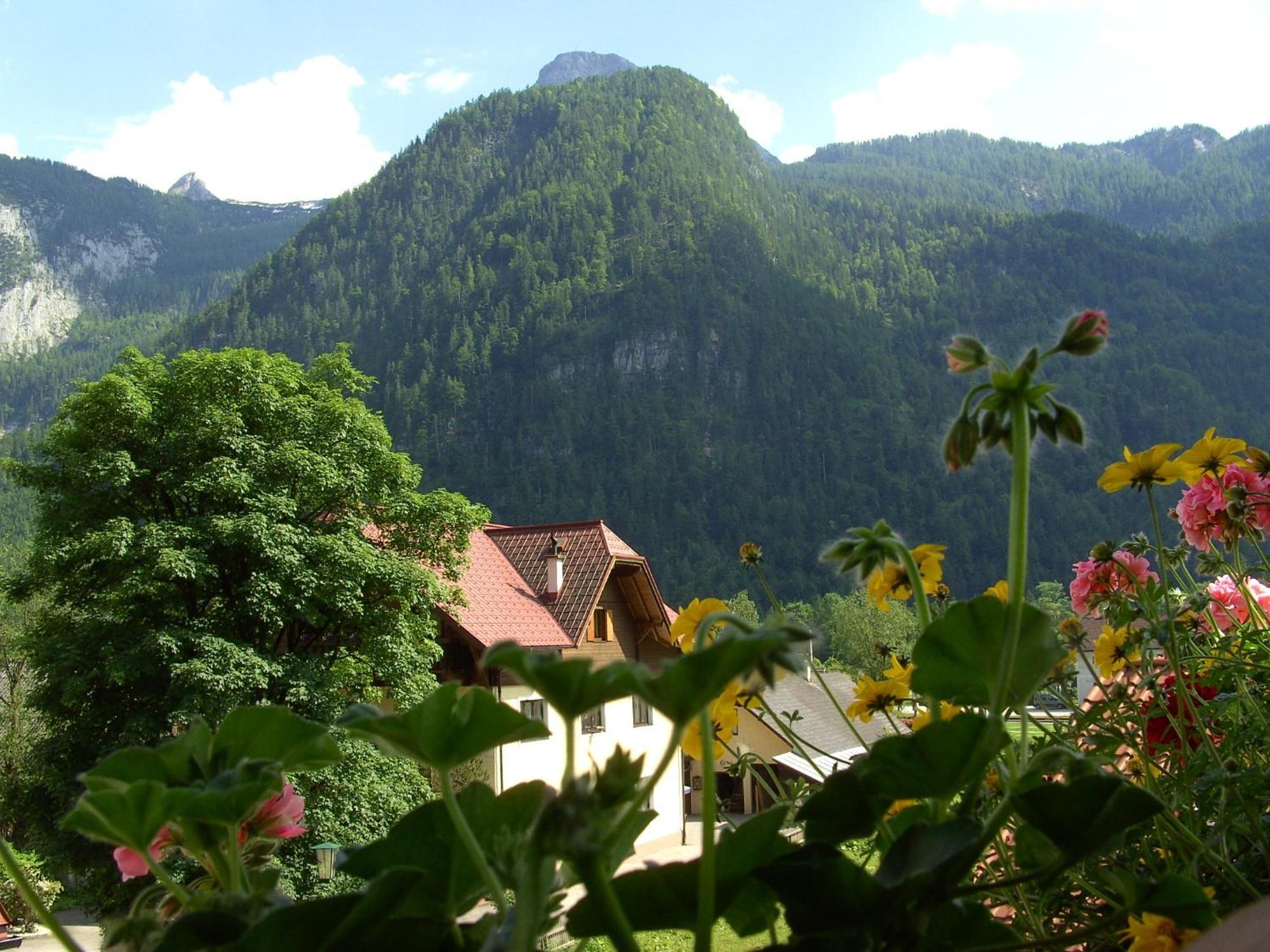 Haus Alpenrose Hotel Obertraun Eksteriør billede